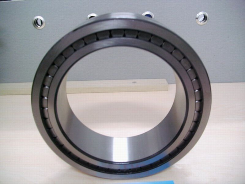 Single row full complement cylindrical roller bearing
