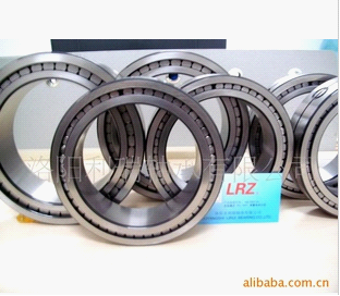 SL full complement cylindrical roller bearing